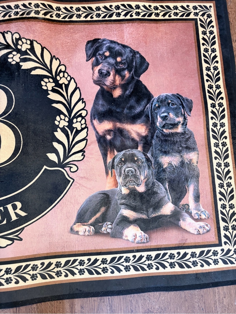 Rug Rottweiler - Picture 3 of 7
